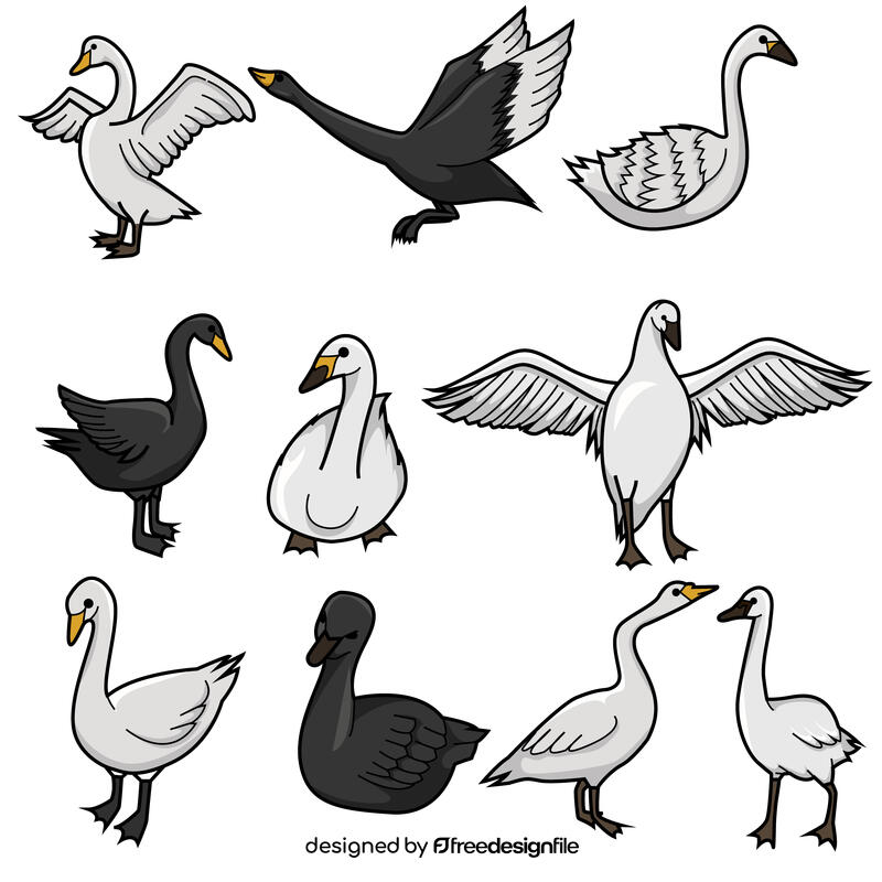Swan set vector