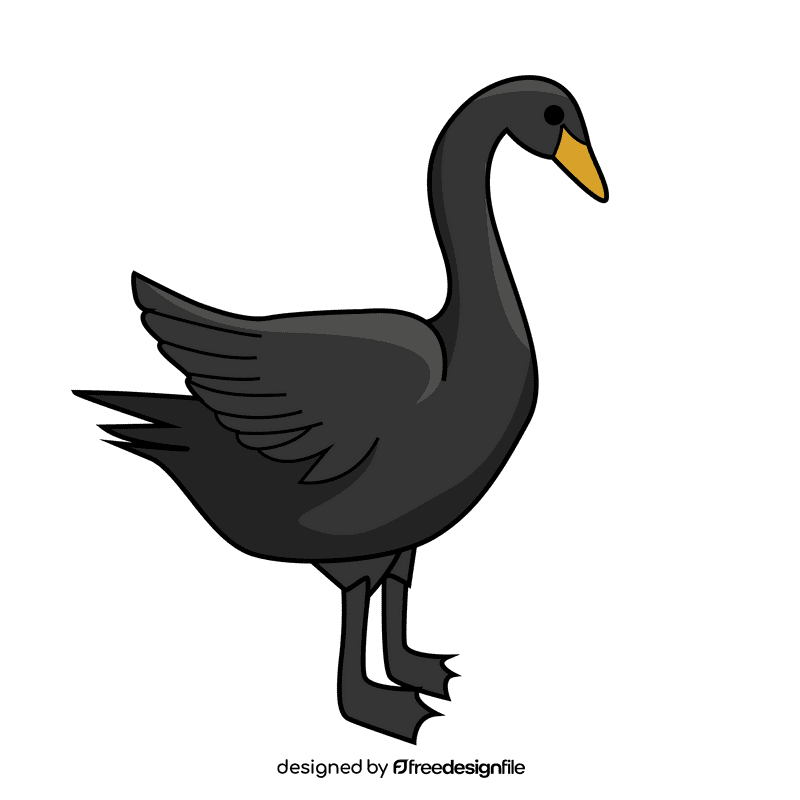 Black swan clipart