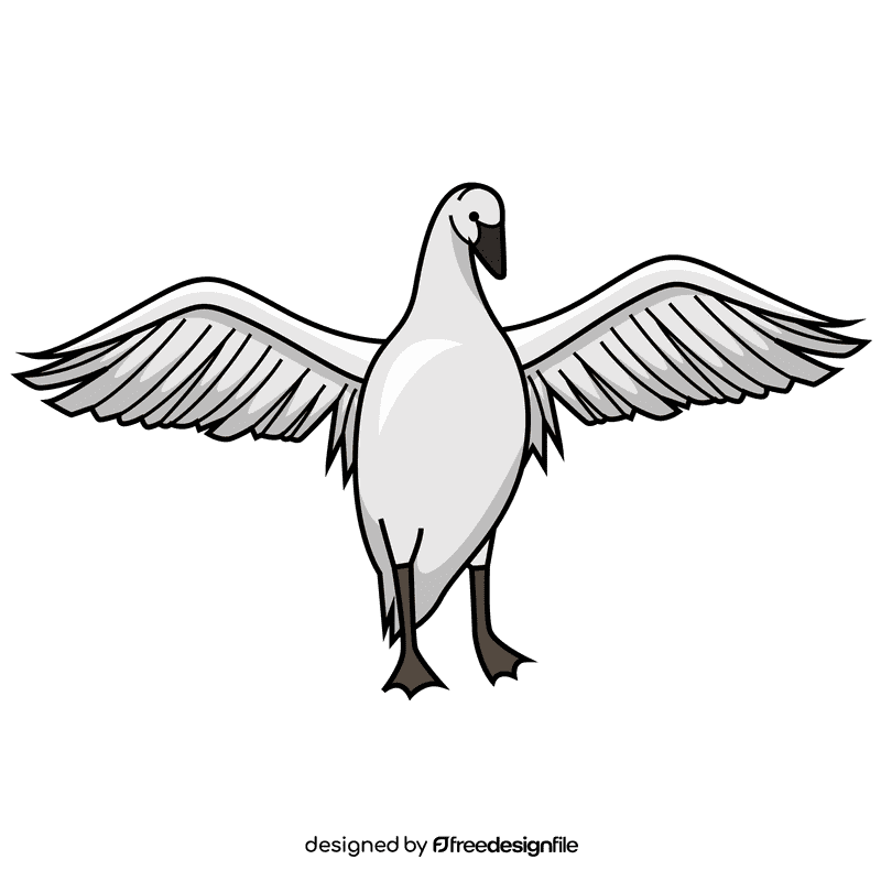 Wide wings swan clipart