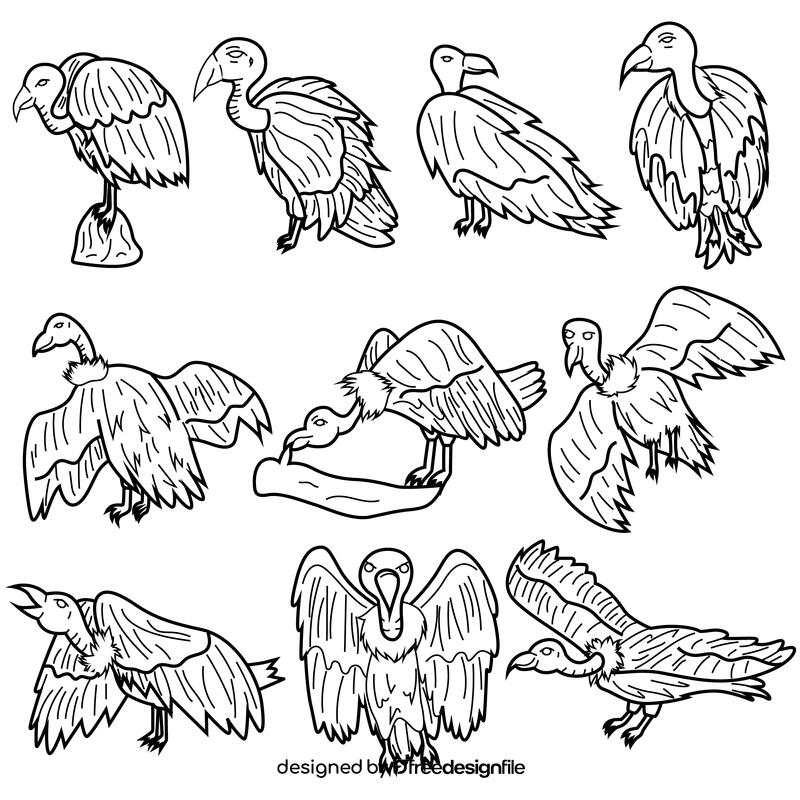 Vulture set black and white vector