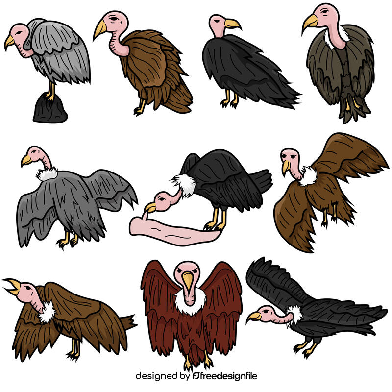 Vulture set vector