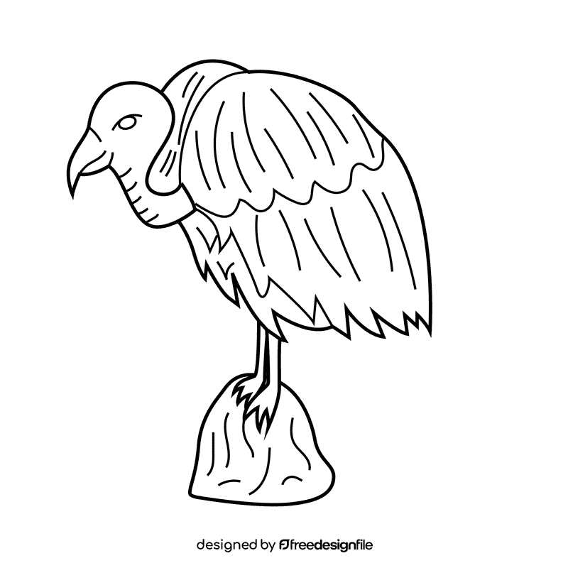 Vulture black and white clipart