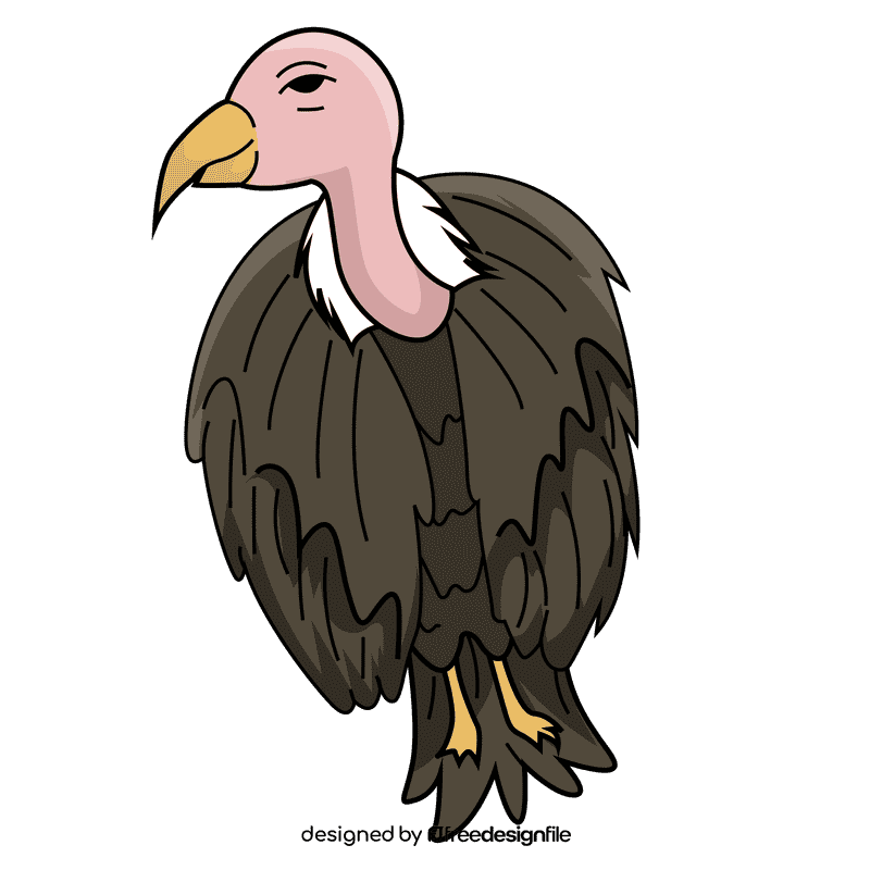 Vulture clipart