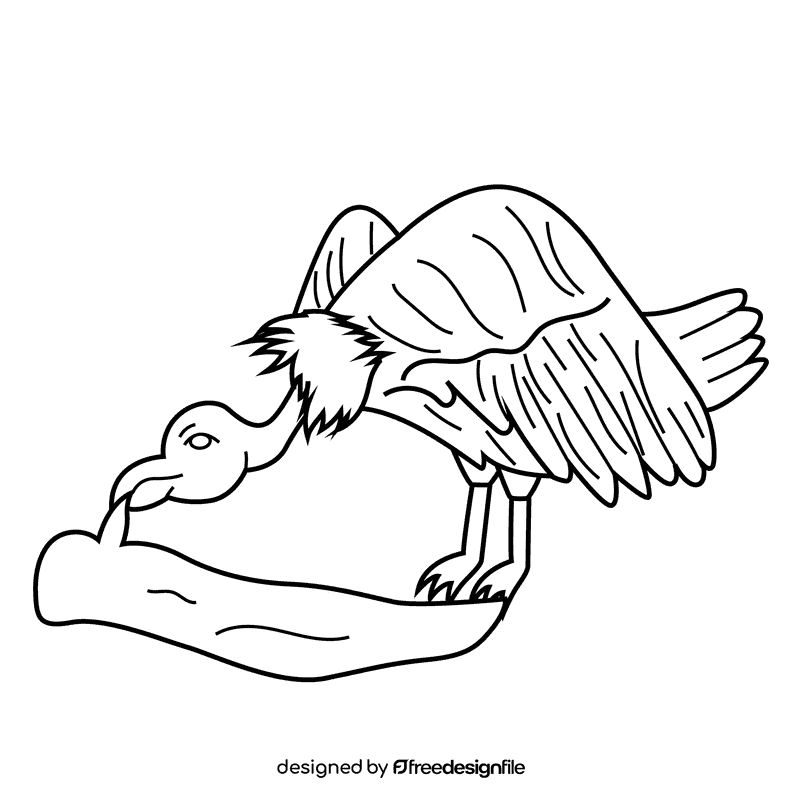Vulture black and white clipart