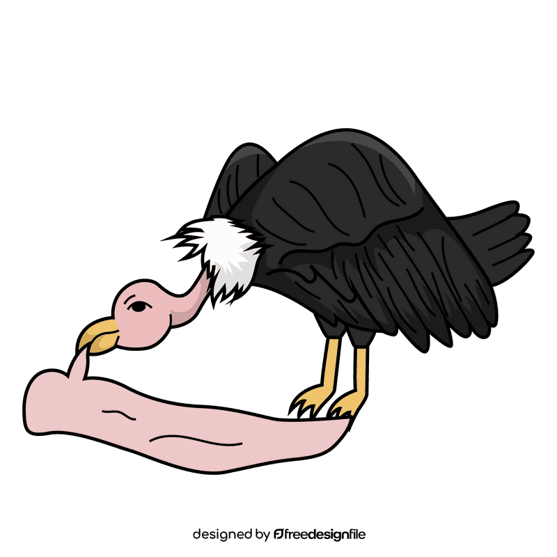 Vulture clipart