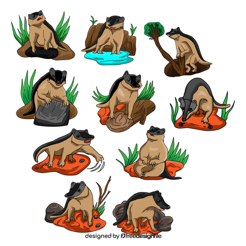Badger Set vector