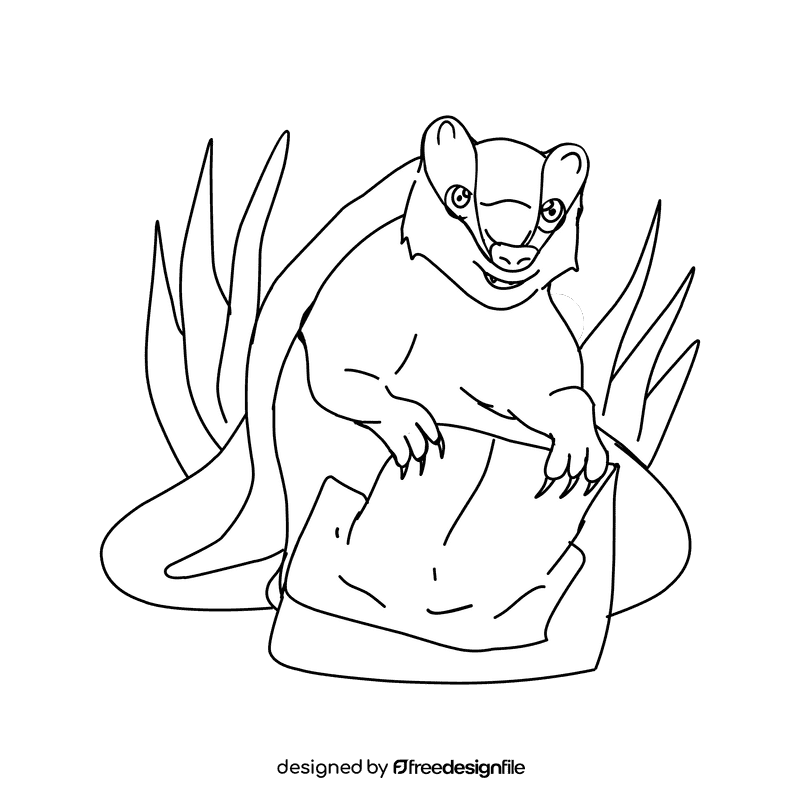 Badger Standing Up black and white clipart