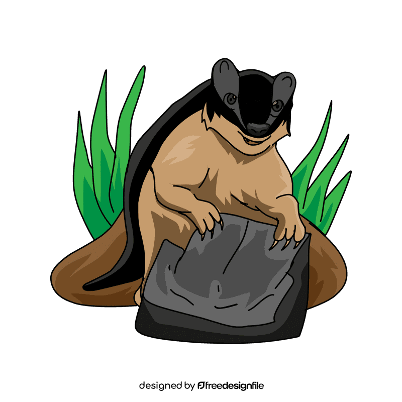 Badger Standing Up clipart