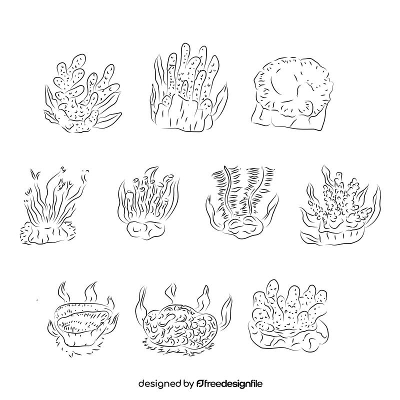 Coral reef black and white vector