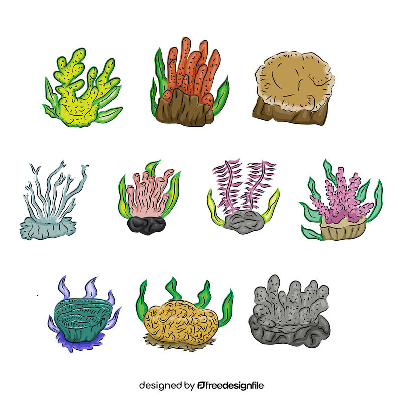Coral reef vector