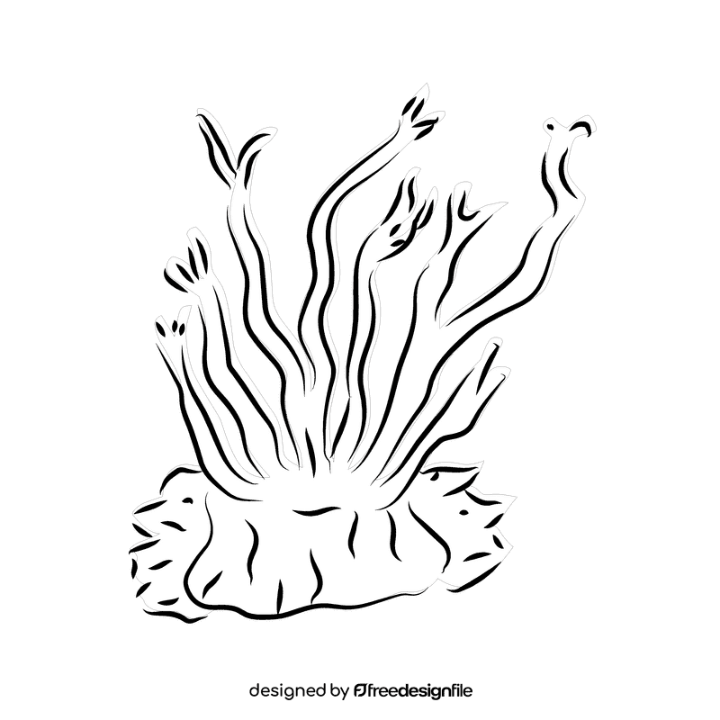 Coral reef black and white clipart