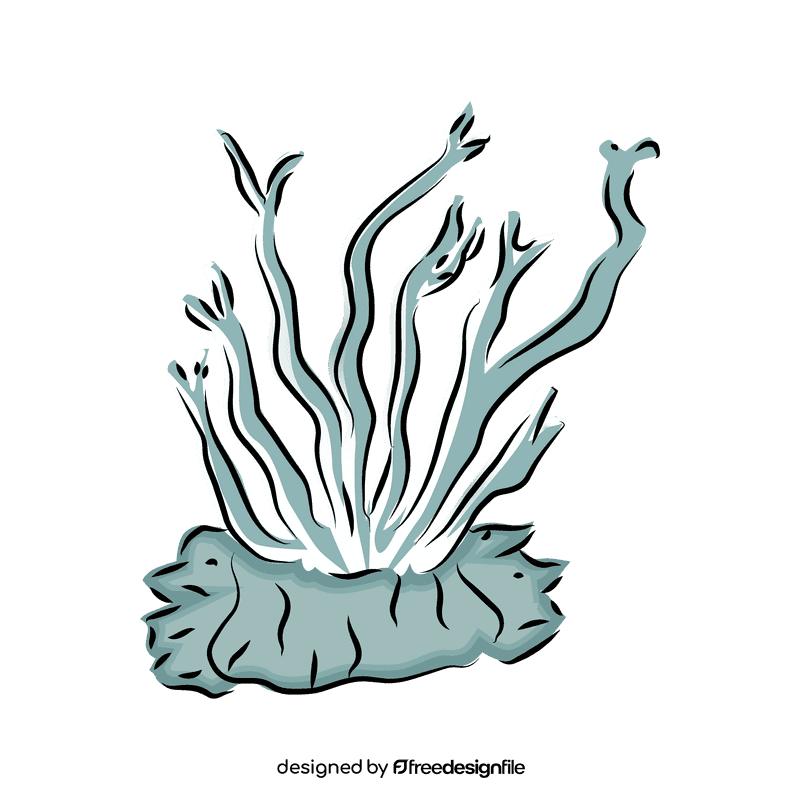 Coral reef clipart