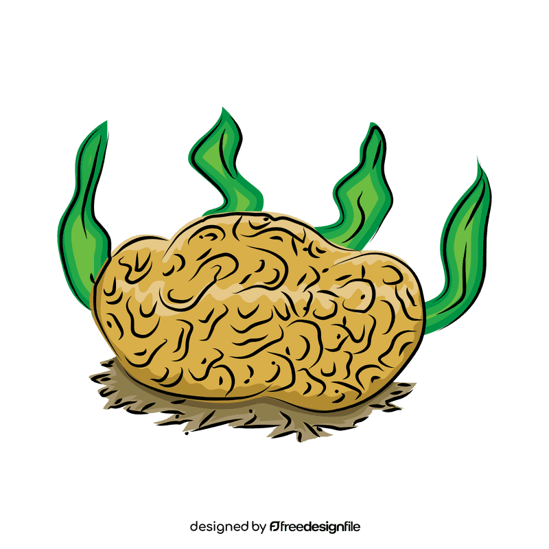 Coral reef Brain clipart