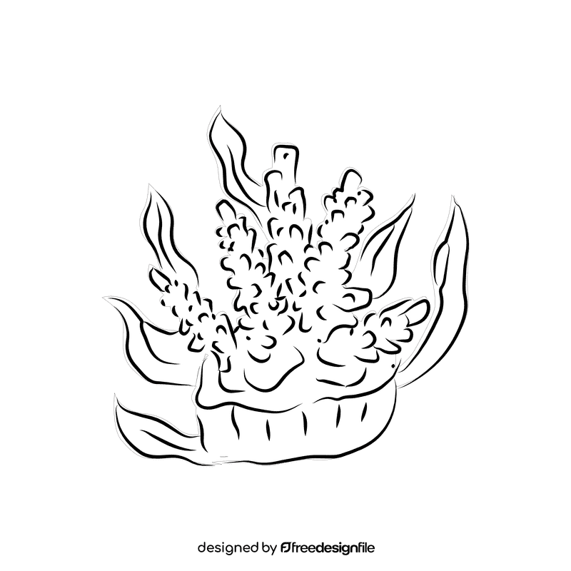 Coral reef Divaricata black and white clipart