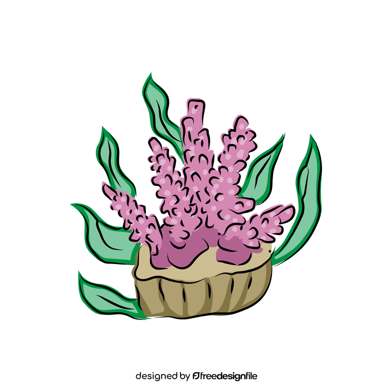Coral reef Divaricata clipart