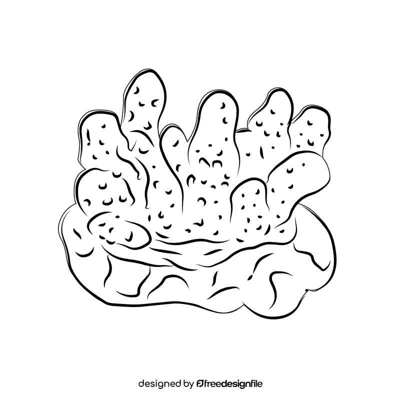 Coral reef Monticulosa black and white clipart