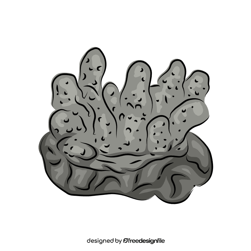 Coral reef Monticulosa clipart