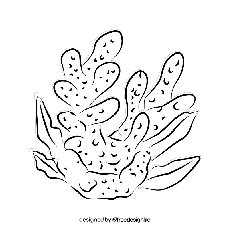 Coral reef Nobilis black and white clipart