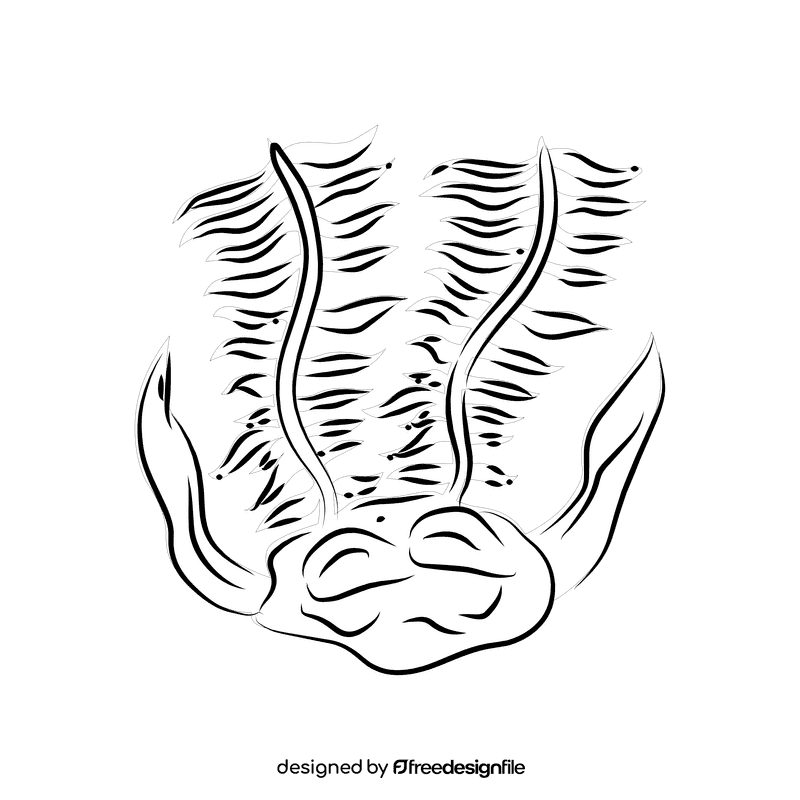 Coral reef Seapen black and white clipart