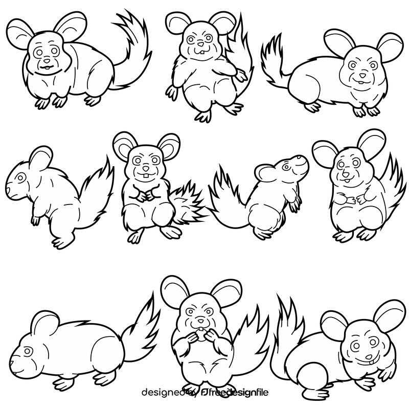 Chinchilla set black and white vector
