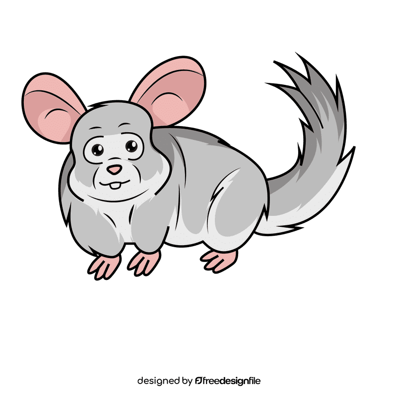 Chinchilla clipart