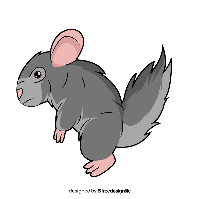 Chinchilla clipart