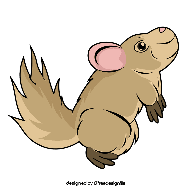 Chinchilla clipart