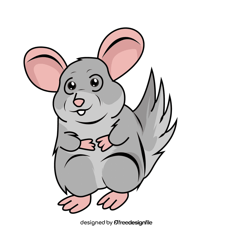 Chinchilla clipart