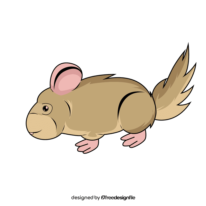 Chinchilla clipart