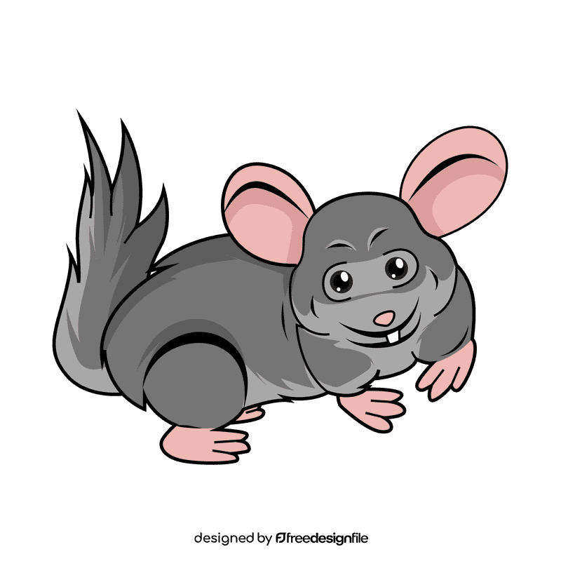 Chinchilla clipart