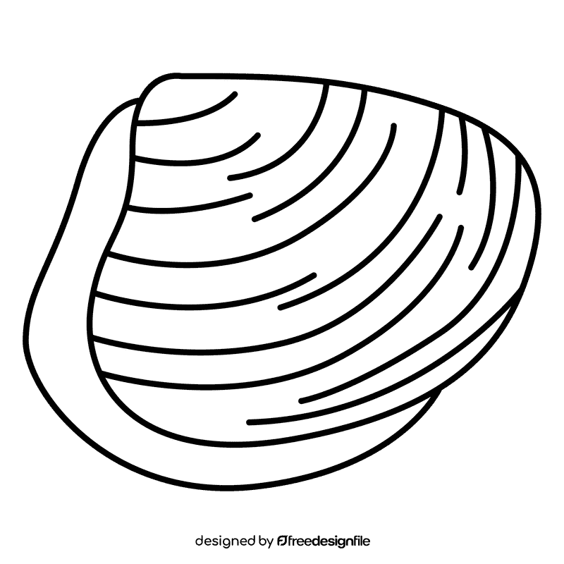 Clam cockle black and white clipart