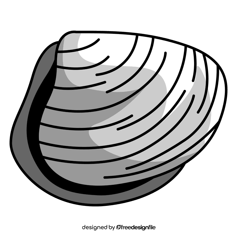 Clam cockle clipart