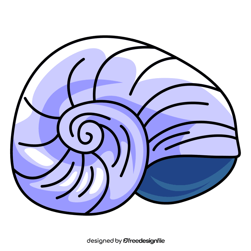 Clam snail shell clipart
