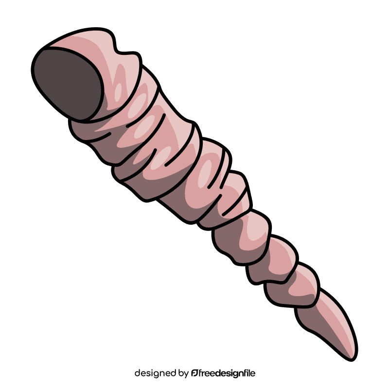 Clam tower shell clipart