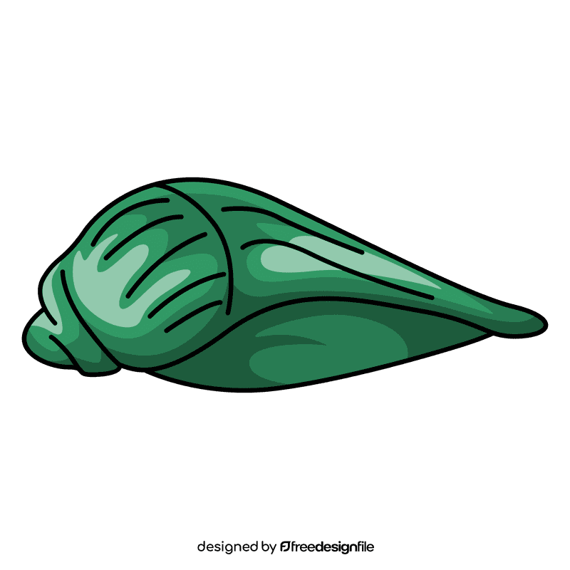 Clam tulip shell clipart