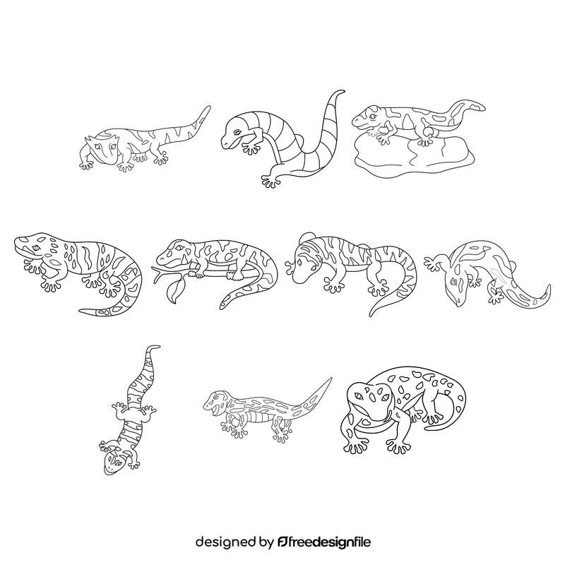Gecko  set black and white vector