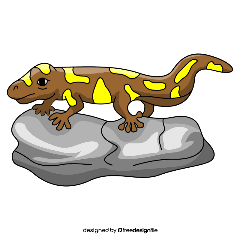 Gecko on a rock clipart