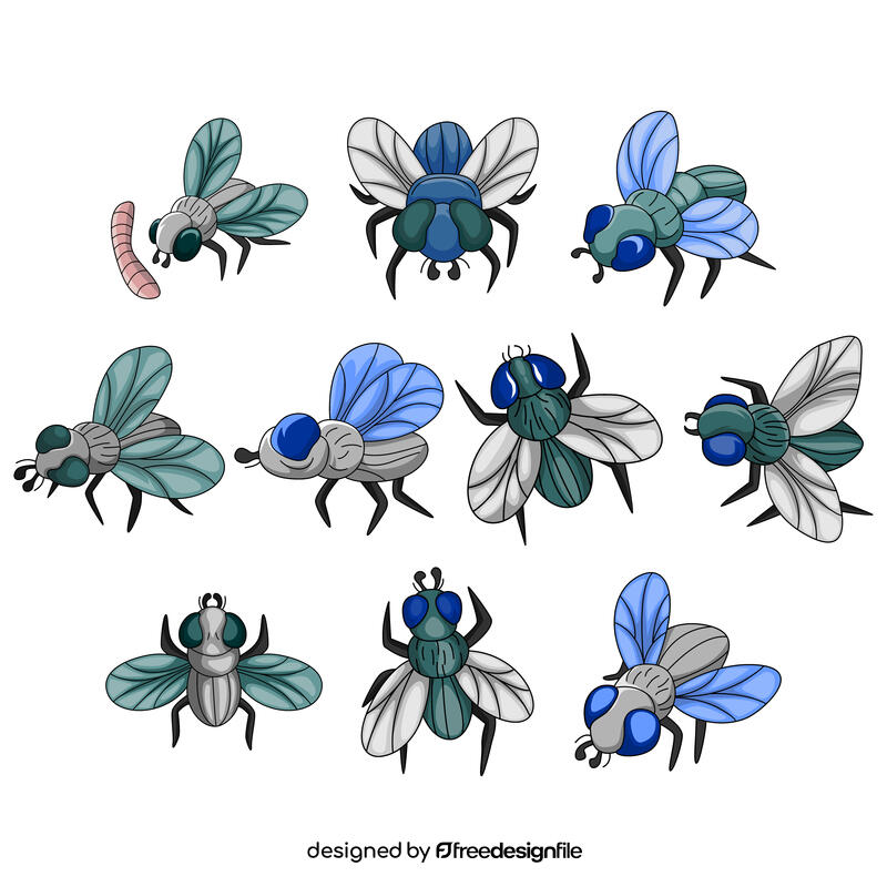 Housefly vector set vector
