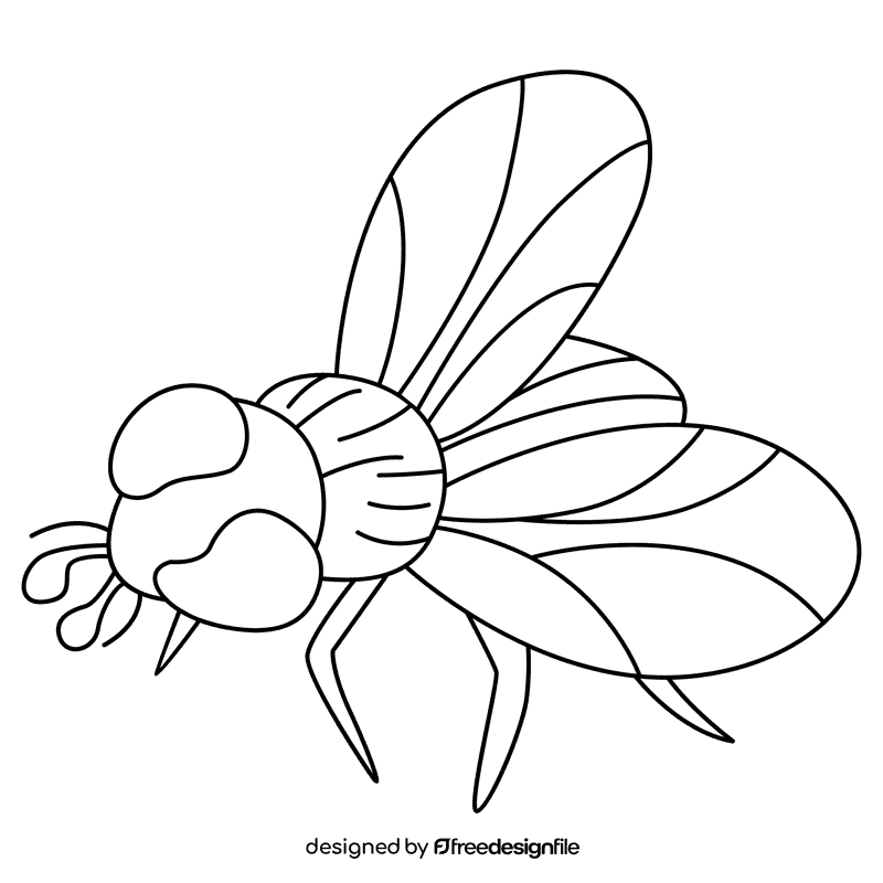 Housefly blowfly black and white clipart