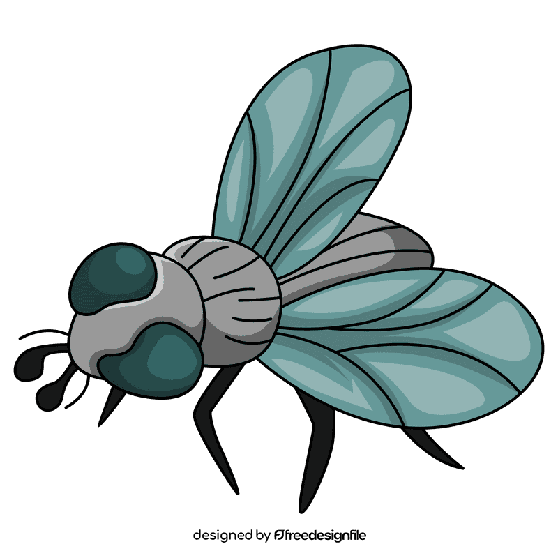 Housefly blowfly clipart