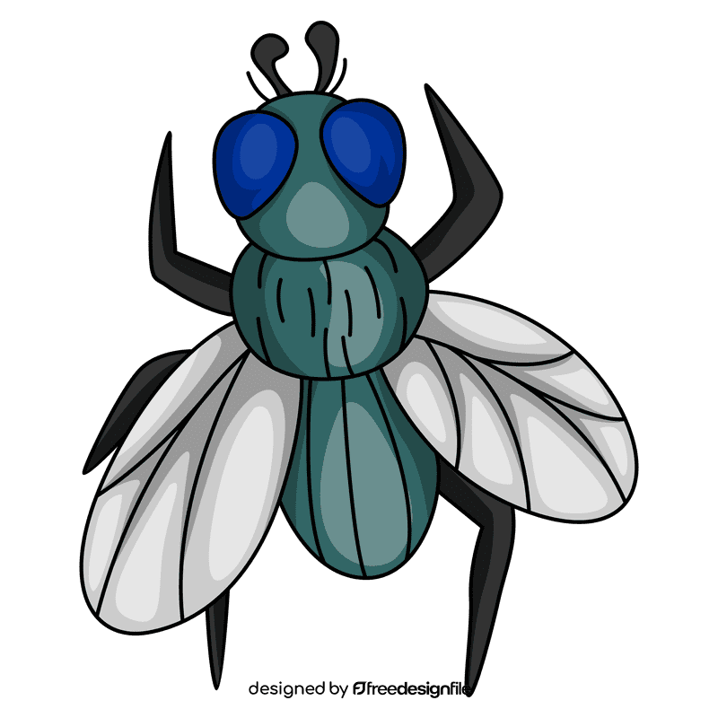 Housefly cleaning the wing clipart
