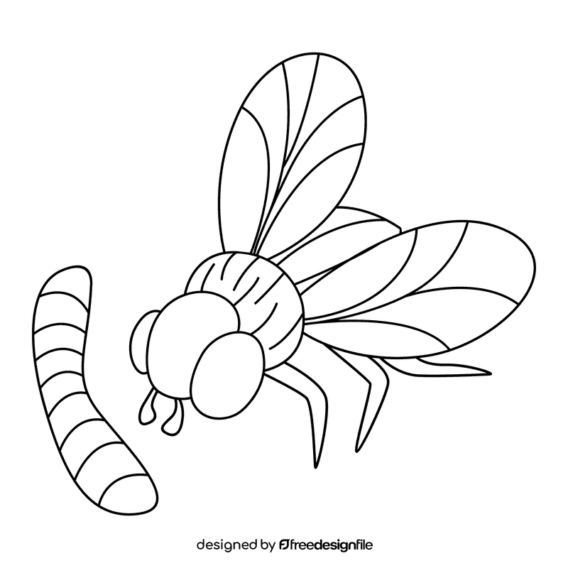 Housefly fly maggots black and white clipart