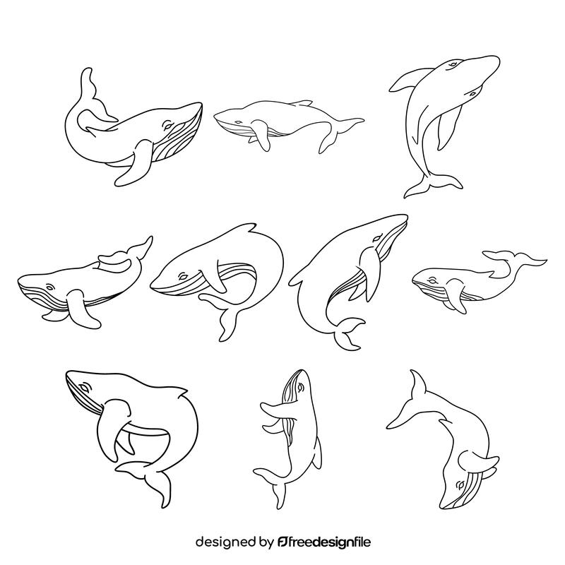 Humpback whale  set black and white vector
