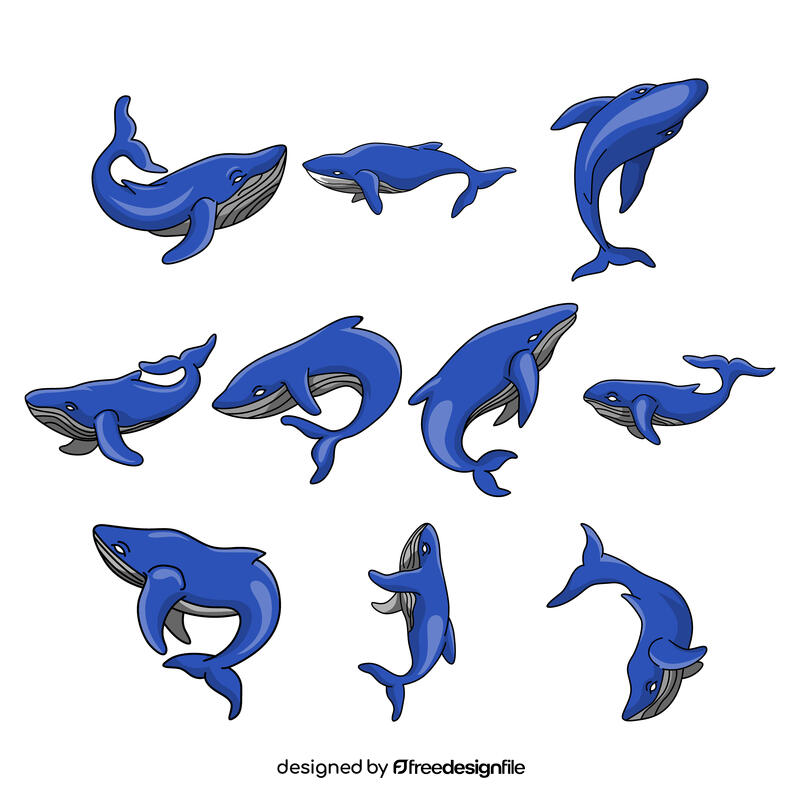 Humpback whale vector set vector