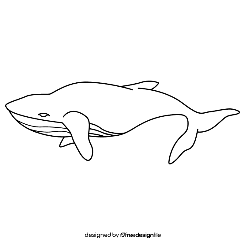 Humpback whale at surface black and white clipart