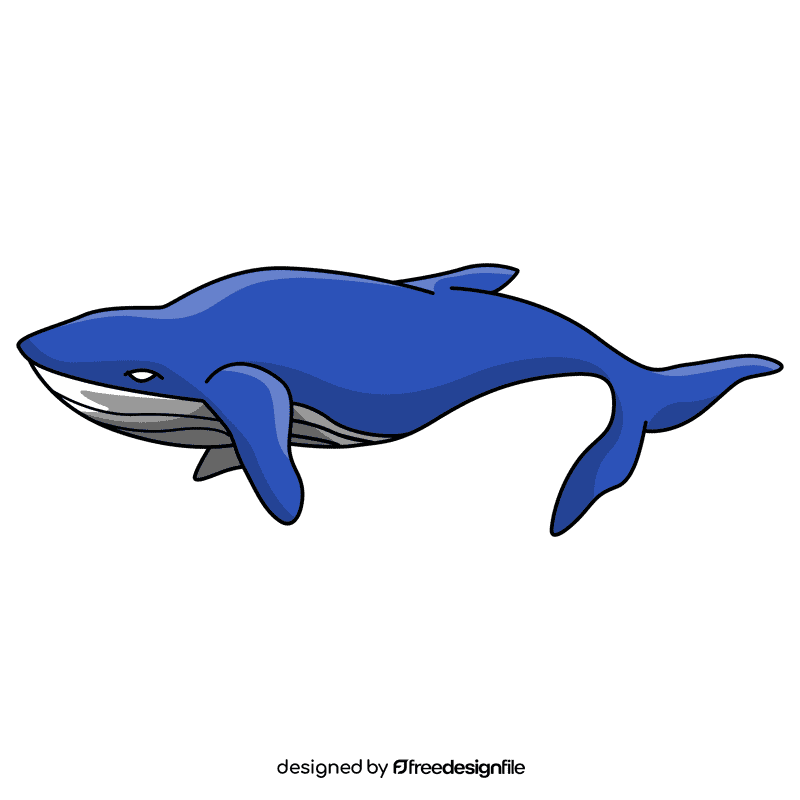 Humpback whale at surface clipart