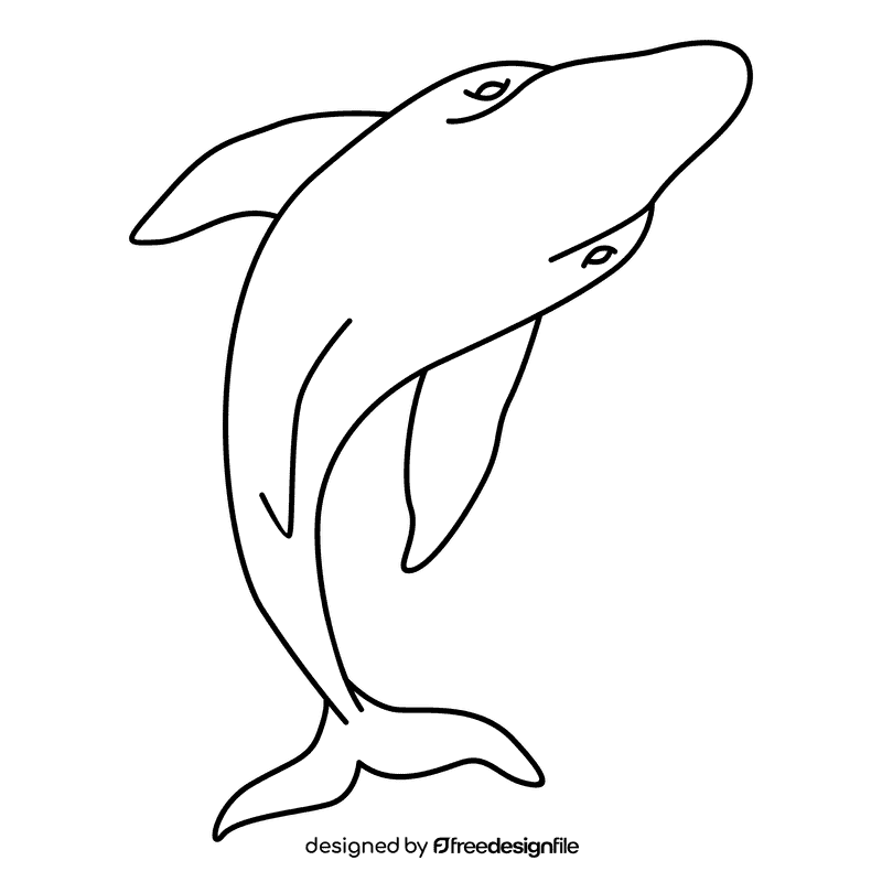 Humpback whale breach black and white clipart