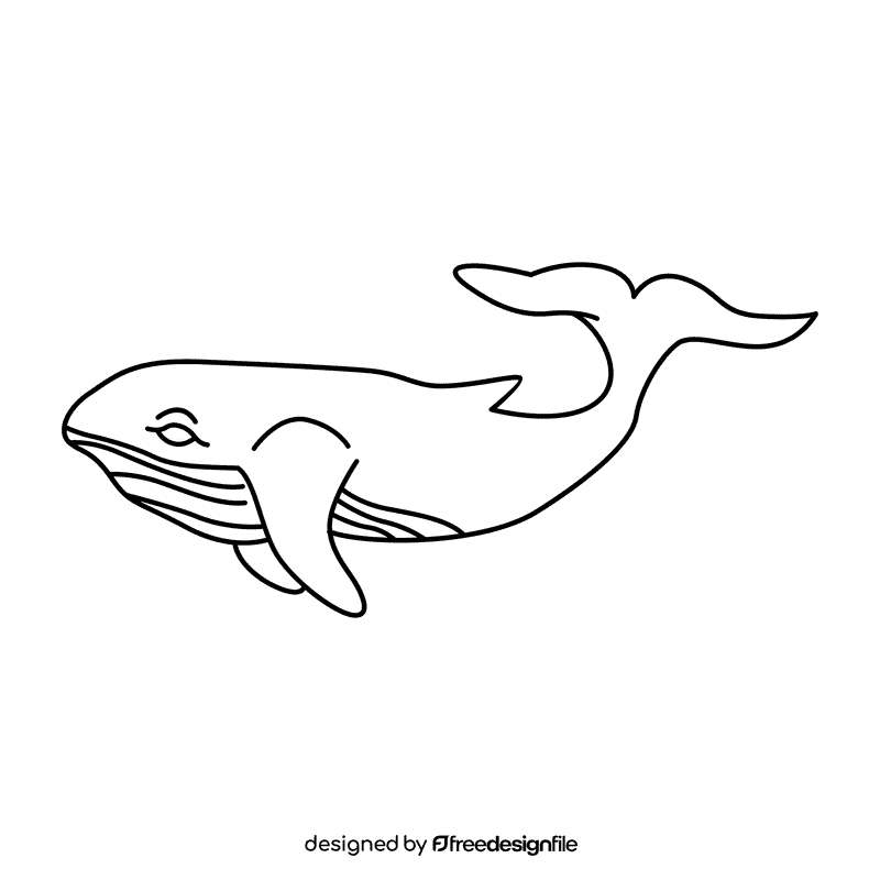 Humpback whale dive under black and white clipart