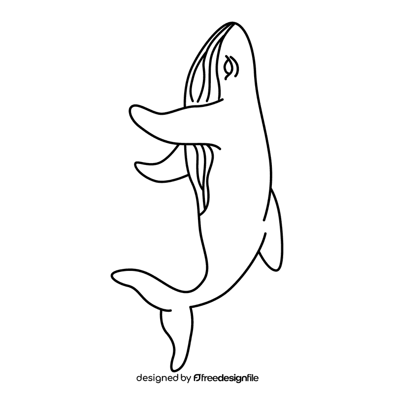 Humpback whale going up black and white clipart