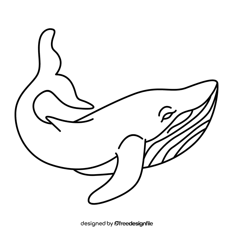 Humpback whale ready to jump black and white clipart